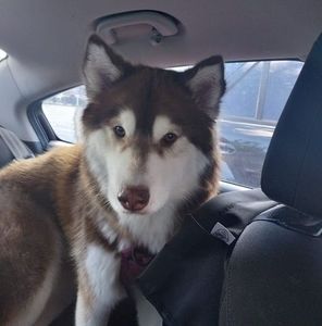 Meet your Posher, Sonja